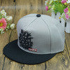 men women snapback cap embroidery letter print gorros de visera snap flat baseball cap golf hat white gray black TIML66