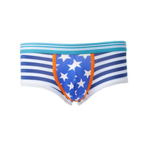 gay underwear mens briefs stripe print u convex pouch low waist cotton panties men shorts underpants TIML66