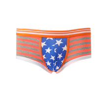 Gay Underwear Mens Briefs Stripe Print U Convex Pouch Low Waist Cotton Panties Men Shorts Underpants TIML66 TIML66