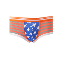 gay underwear mens briefs stripe print u convex pouch low waist cotton panties men shorts underpants TIML66