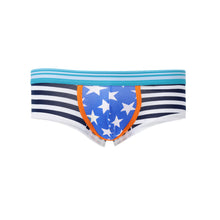 gay underwear mens briefs stripe print u convex pouch low waist cotton panties men shorts underpants TIML66