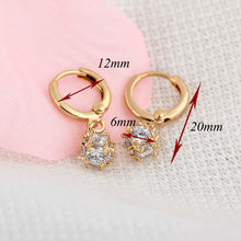 AAA Zircon Earrings Gold Silver Earrings Pendientes And Brincos Boucle D'Oreille Earings Jewelry TIML66 TIML66