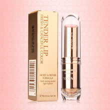 makeup nude lipsticks long lasting cosmetic waterproof lip stick pencil TIML66