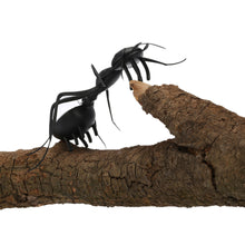 Solar Ant Cute Kids Toys Magic Solar Powered Ant Insect Play Learn Educational Solar Toys for Children TIML66 TIML66