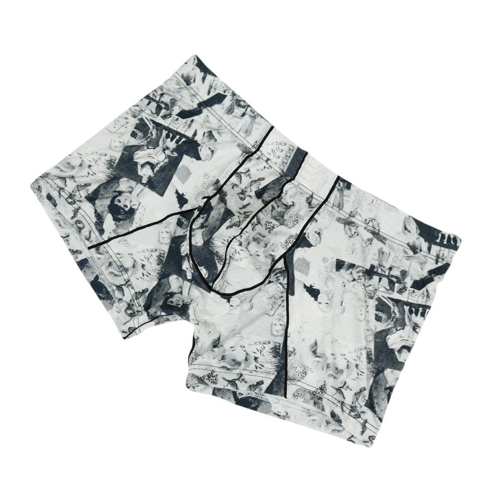 Modal Underwear Men Sexy Mens Boxers Shorts Pattern Print Comfortable Breathable Men Underpants Plus Size L-XXL TIML66 TIML66