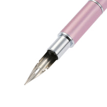 nail art brush dotting nib bqan nail art drawing pen nail decoration pointing painting pen with metallic head 5 dotting tips TIML66