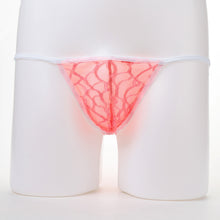 sexy mens bikini mesh briefs underpants thong sheer underwear u convex pouch low waist underwear TIML66