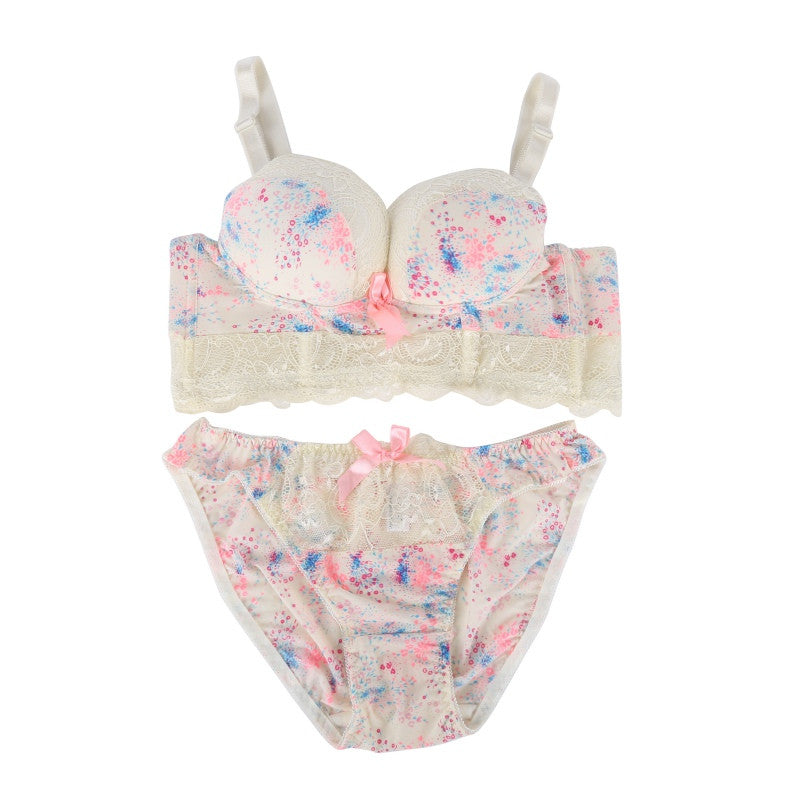 New Women Lace Underwear Push Up Side Support Plunge Bra and Panty Set Lingerie Bras Briefs Sets TIML66