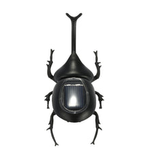solar beetle cute interesting kids toys solar powered energy beetle original educational solar toys forchildren TIML66