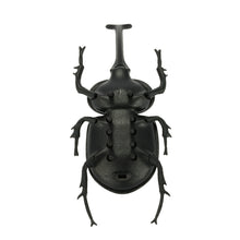 solar beetle cute interesting kids toys solar powered energy beetle original educational solar toys forchildren TIML66