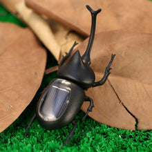 solar beetle cute interesting kids toys solar powered energy beetle original educational solar toys forchildren TIML66