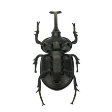 Solar Beetle Cute Interesting Kids Toys Solar Powered Energy Beetle Original Educational Solar Toys for Children TIML66 TIML66