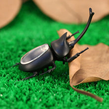 Solar Beetle Cute Interesting Kids Toys Solar Powered Energy Beetle Original Educational Solar Toys for Children TIML66 TIML66
