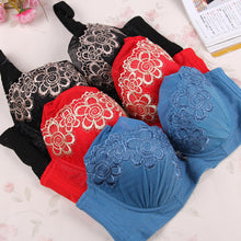 3/4 Coverage Bra Plunge Push Up Bra Lace Embroidered 80 85 90 95 C Cup PY1 TIML66