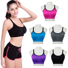 women padded push up bra candycolor tank tops seamless stretch women crop top underwear vest TIML66